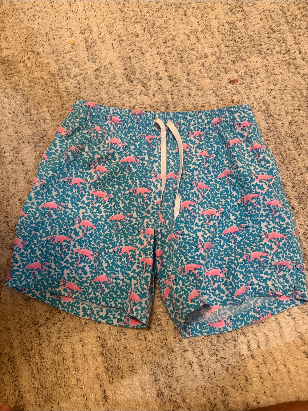 Chubbies Swim Trunks 5’5 Size M Linerless